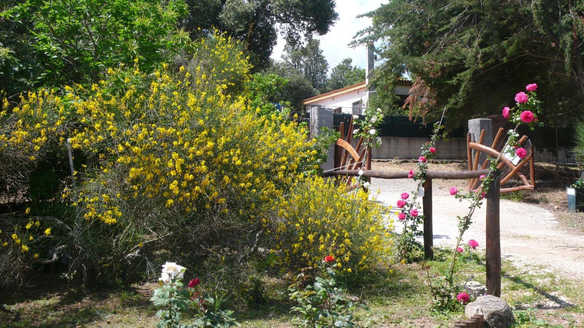 منزل الضيف نوورو  في Casa Solotti المظهر الخارجي الصورة